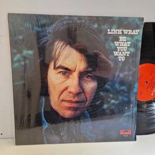 LINK WRAY Be what you want to 12" vinyl LP. PD-5047