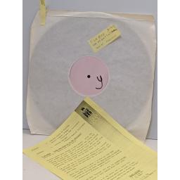 T LA ROCK Come and give it to me (ecstasy), 12" vinyl SINGLE. SBUK19T