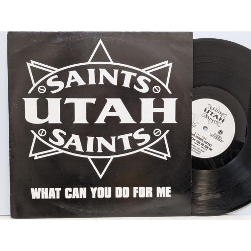 UTAH SAINTS What can you do for me, Trans-europe excess, What can you for me (salt lake mix), 12" vinyl SINGLE. FX164