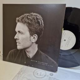 DAVID SYLVIAN Dead bees on a cake 2x12" vinyl LP. 671524-3