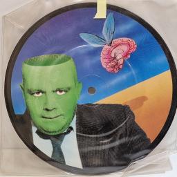 BAD MANNERS Got no brains 7" picture disc single. MAGP216