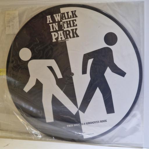 CONWAYS FT. THE NICK STRAKER BAND A walk in the park 12" Limited Edition picture disc. GETFREAKY!001