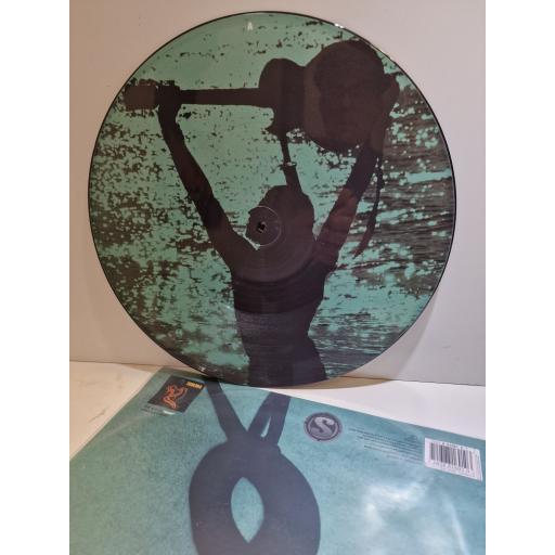 SKIN Look but don't touch 12" picture disc E.P. 724388169103