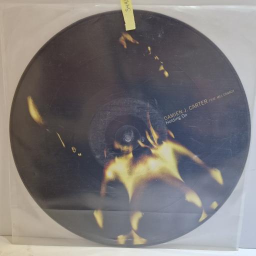 DAMIEN J CARTER FT. MEL CANADY Holding on 12" picture disc EP. MSR016F