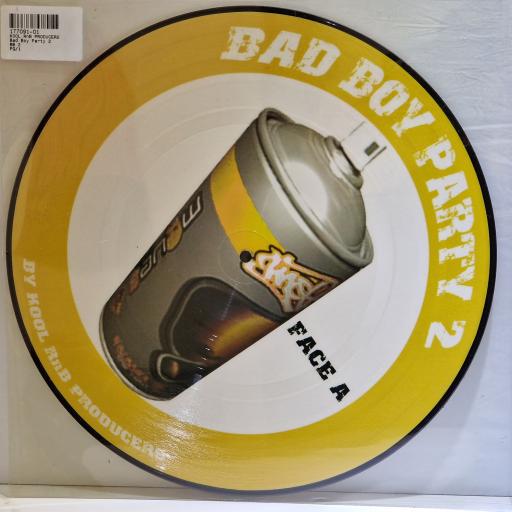 DJ KOOL Bad Boy Party Volume 2 12" picture disc single. BBP VOL02