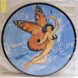NOJAHODA Teach me how to fly 7" picture disc single. 6671627