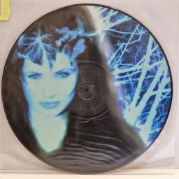 INKUBUS SUKKUBUS Supernature 12" picture disc LP. ABLP26