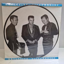 JOHNNY CASH Teenage queen 12" Picture disc LP. AR30030