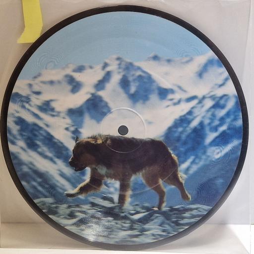 BARKING LIGHT ORCHESTRA The Theme From 'The Long March' 7" picture disc single. WOOFP2
