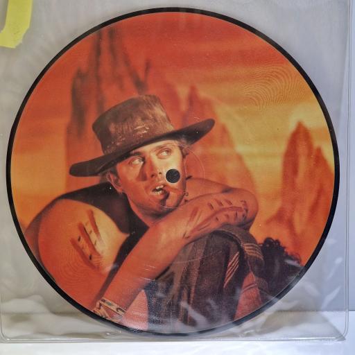 BOY'S DON'T CRY I wanna be a cowboy 7" picture disc single. LGYP28