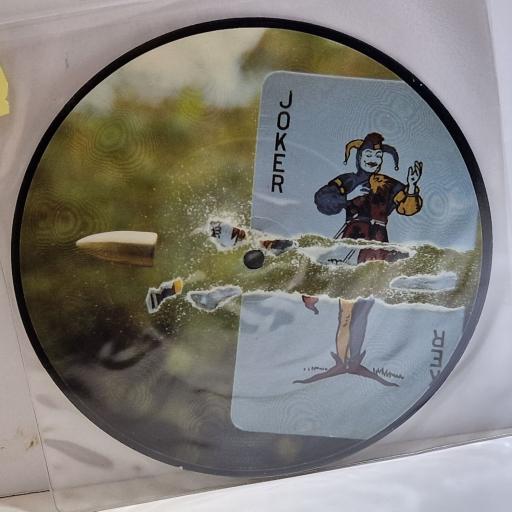 NILON BOMBERS Cracked 7" picture disc single. 7ALMOS006