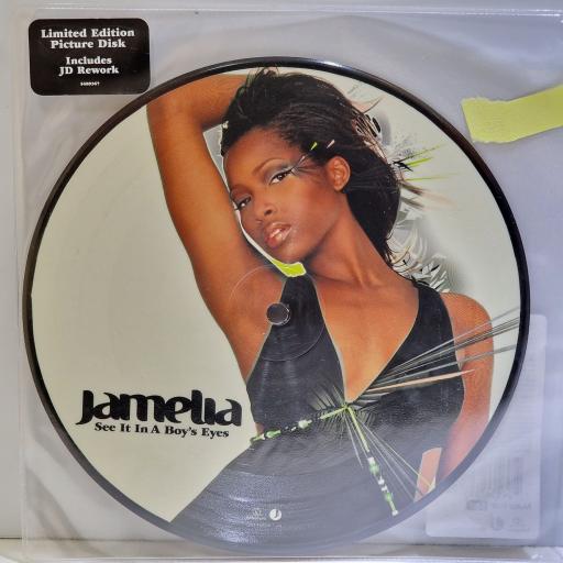 JAMELIA See it in a boy's eyes 7" picture disc single. 5489367