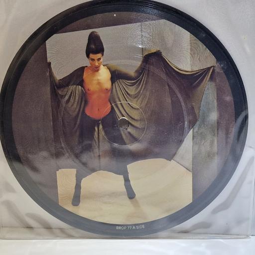 MANFRED MANN'S EARTH BAND Don't Kill It Carol 7" picture disc single. BROP77