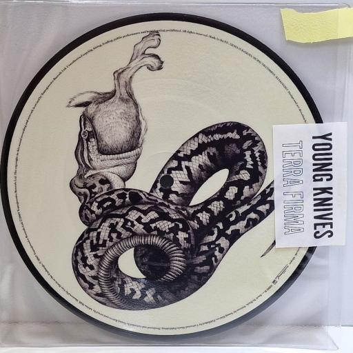 YOUNG KNIVES Terra Firma 7" picture disc single. TRANS056X