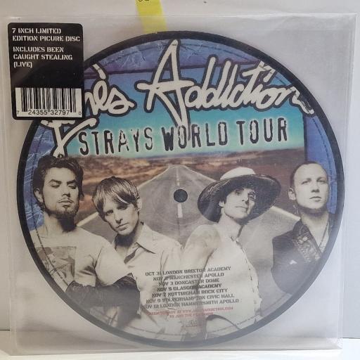 JANE'S ADDICTION True Nature 7" limited edition picture disc single. 5532797
