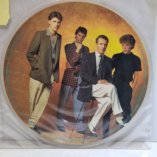 SKIDS Goodbye civilian 7" picture disc single. VS373