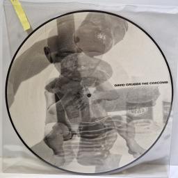 DAVID GRUBBS The coxcomb 12" picture disc single. Rec-AAPD