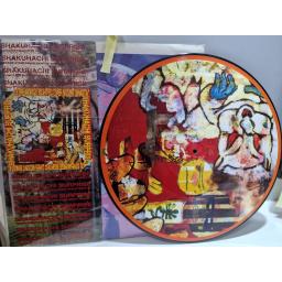 SHAKUHACHI SURPRISE Space Streakings Sighted Over Mount Shasta 12" limited edition picture disc LP. GR35