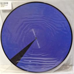 LICIOUS & PALMERO Once Again 12" picture disc single. LFR589