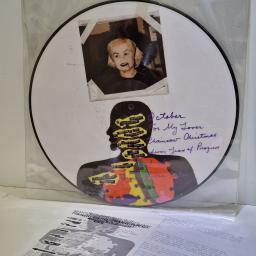 VARIOUS FT. BLUEBIRD, KID DYNAMITE, SUBMISSION HOLD, EULCID Masculine Make-Over 12" limited edition picture disc LP. #001