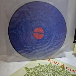 VATICAN'S CHILDREN Over the bridges of time... 12" limited edition picture disc LP. VAT079