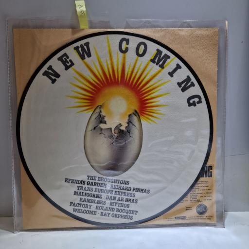 VARIOUS FT. EFENDI'S GARDEN, THE BROUGHTONS, RICHARD PINHAS, RAMBLERS New coming 12" picture disc LP. 80008 Babylon