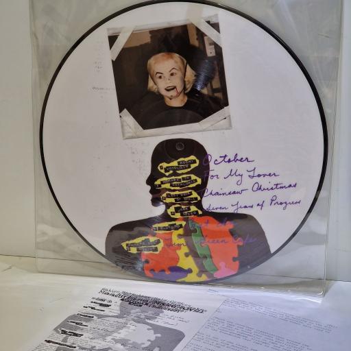 VARIOUS FT. BLUEBIRD, KID DYNAMITE, SUBMISSION HOLD, EULCID Masculine Make-Over 12" limited edition picture disc LP. #001
