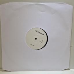 DUA LIPA, THE BLESSED MADONNA, MADONNA & MISSY ELLIOT Levitating 12" single. WSBX01