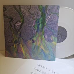 ALT-J An awesome wave 12" vinyl LP. INFECT134LP