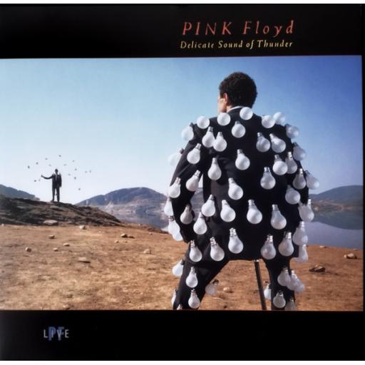 PINK FLOYD the delicate sound of thunder. 180g remastered by Guthrie, Plante, Grundman 2017. 12" VINYL LP PFRLP16