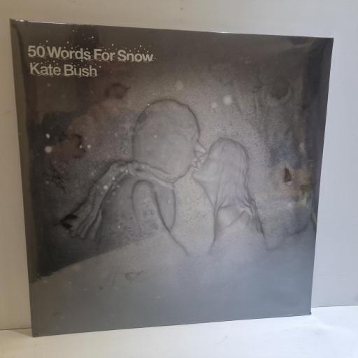 KATE BUSH 50 words for snow 12" vinyl LP. FPLP007