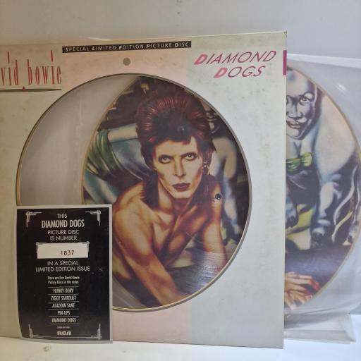 DAVID BOWIE Diamond Dogs 12" limited edition picture disc LP. BOPIC5