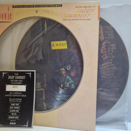 DAVID BOWIE The rise and fall of Ziggy Stardust and the spiders from Mars 12" limited edition picture disc LP. BOPIC3