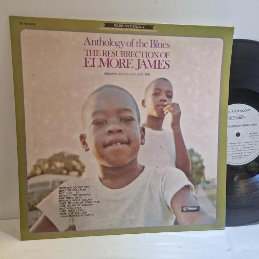 ELMORE JAMES The Resurrection Of Elmore James 12" vinyl LP. 30AB5610