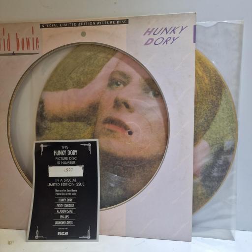 DAVID BOWIE Hunky Dory 12" limited edition picture disc LP. BOPIC2