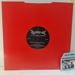 BJRK Cut By The Sabres Of Paradise One Little Indian BJ DJ 101, 2 Track 10 Promo