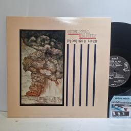 SKELETAL FAMILY Promised Land, Red Rhino Records REDT 54. 3 TRACK 12 SINGLE