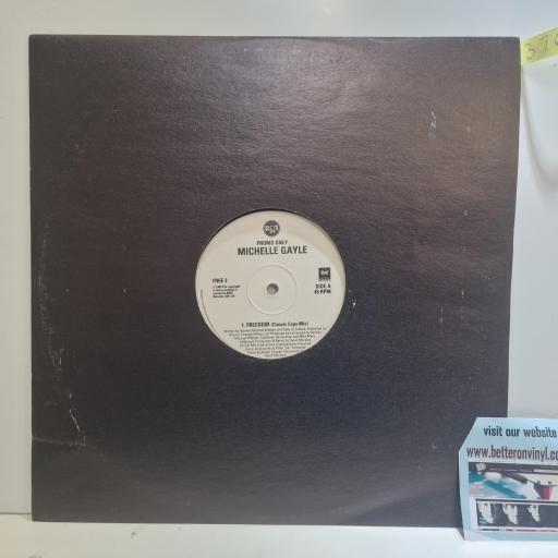 MICHELLE GAYLE Freedom, 1st Avenue FREE 2, 3 Track 12 Promo Single