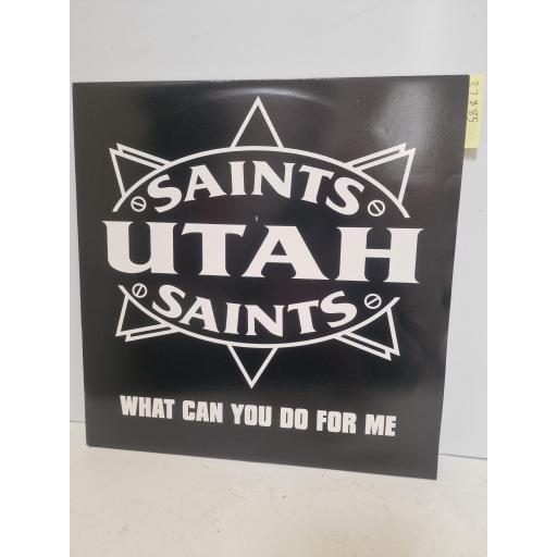 UTAH SAINTS What Can You Do For Me, FFRR FX164 / 869 517-1, 3 Track 12 Single