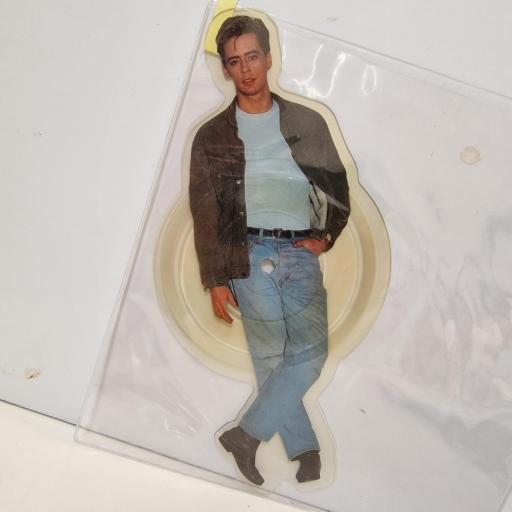 NICK HEYWARD Laura, Arista HEYSD 8, 5 Shape/Picture Disc, Stereo