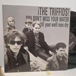 THE TRIFFIDS You Dont Miss Your Water Till Your Well Runs Dry, Hot Records HOT 12 26, 4 Track 12 Single