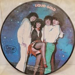 LIQUID GOLD Mr Groovy (It Feels So Nice), Creole Records PCR 170, 2 Track 7” Single