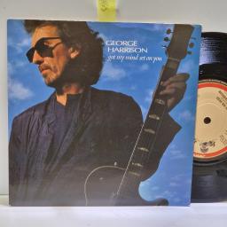 GEORGE HARRISON Got my mind set on you, Lay his head 7” single. W8178