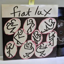 FIAT LUX Feels like winter again, What is this illness 7” single. COQ9