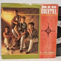 BIG COUNTRY In a big country, All of us 7 single. COUNT3