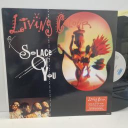 LIVING COLOUR Solace Of You, Epic 656908 8, 3 Track 12” Single