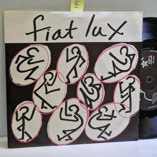 FIAT LUX Feels like winter again, What is this illness 7” single. COQ9