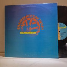 SHAMBEKO! SAY WAH! Remember, ZAZU 1T, 12” VINYL LP