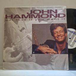 JOHN HAMMOND Got love if you want it 12” vinyl LP. VPBLP7