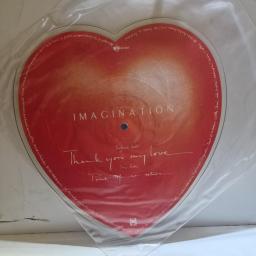 IMAGINATION Thank You My Love, RBX 219, 7” VINYL PICTURE DISC